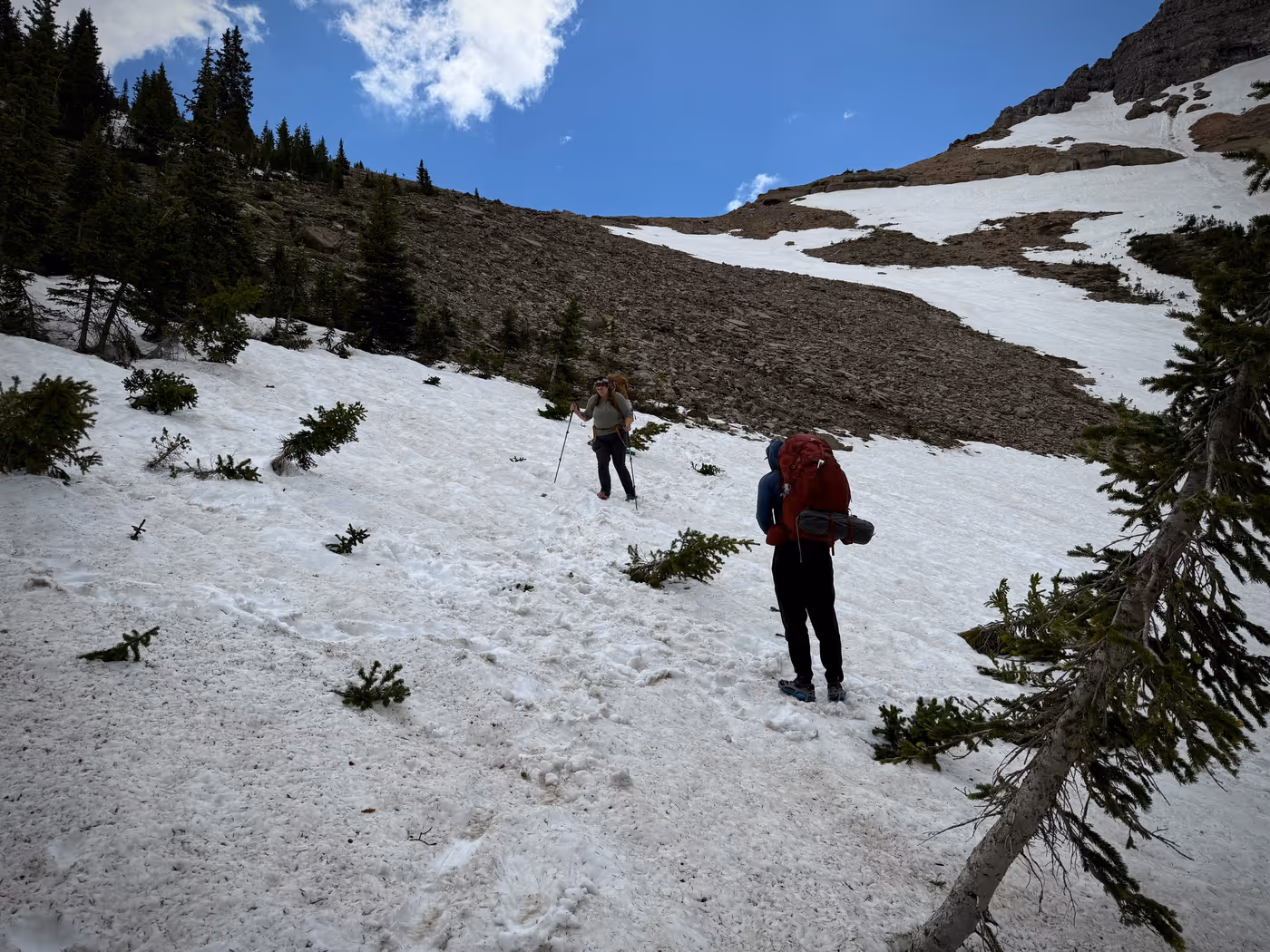 Two hikers with packs and trekking poles descending a broad snowfield between stands of firs, a bare brown ridge rising into cloud above.