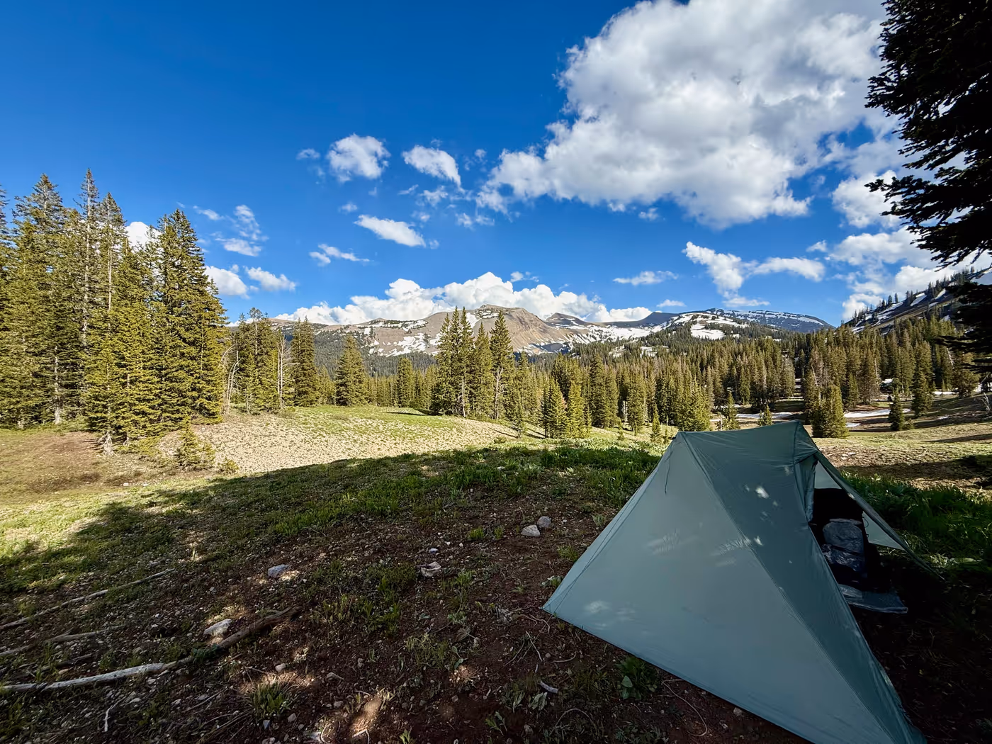 A backcountry campsite among pines and meadow.