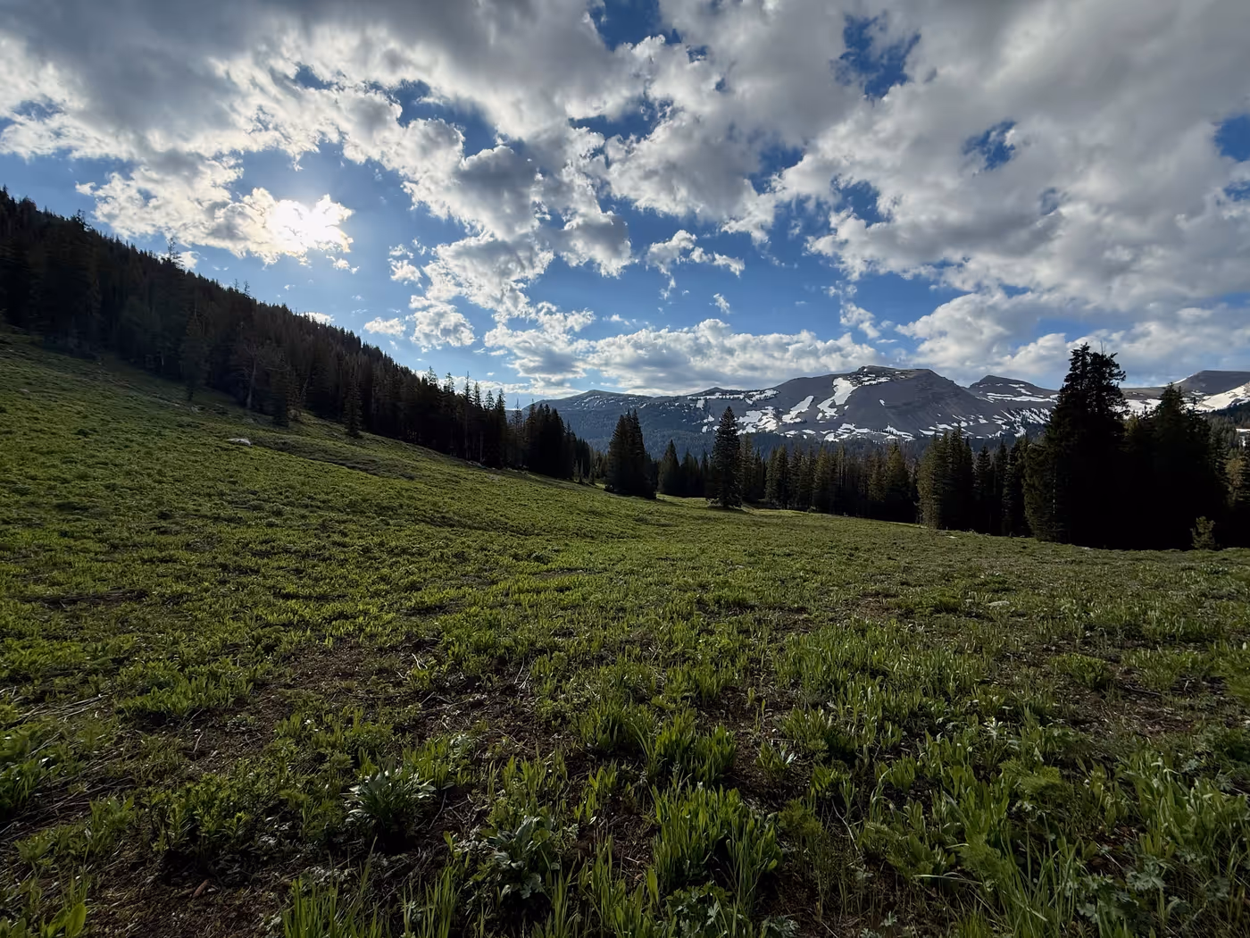Open alpine high country under a clear sky.