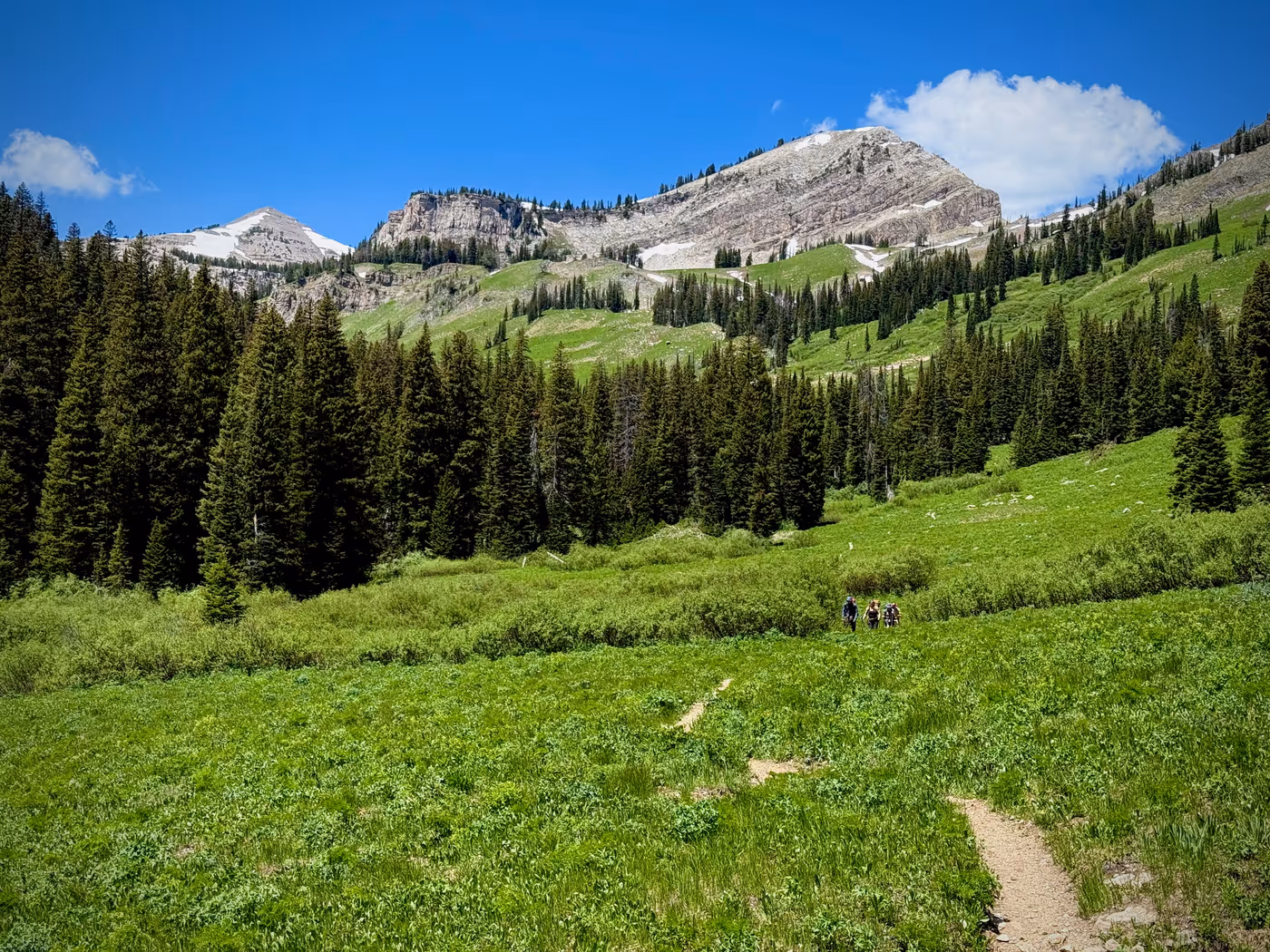 A deep green canyon with hikers visible in the distance.