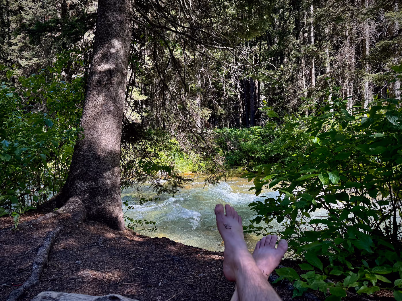 Bare feet crossed at the ankles beside a rushing creek in dappled forest shade, a thick conifer trunk on the bank.