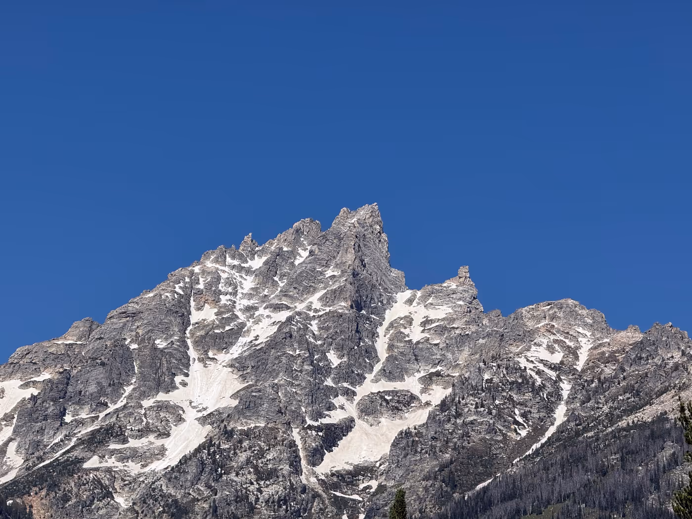 The Teton range rising beyond Jenny Lake.