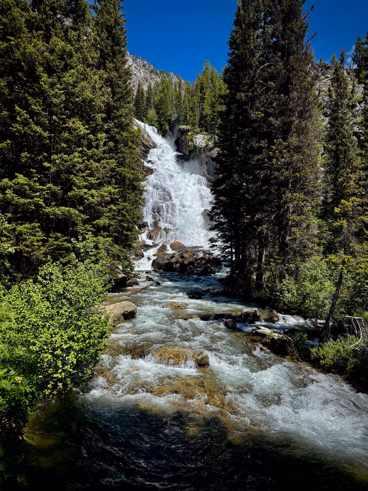 A tall waterfall cascading down granite ledges between dark conifers, whitewater rushing over boulders in the foreground.