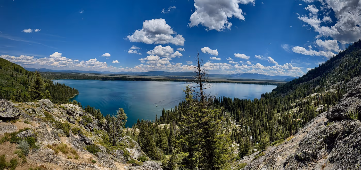 A wide panorama of Jenny Lake's deep blue water from above, a boat wake crossing it, forested shore and hazy valley beyond, a weathered snag at center.