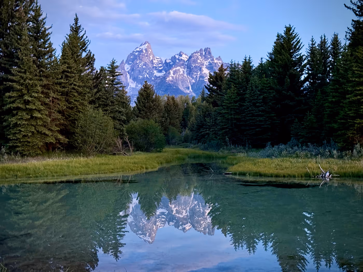 Teton peaks and pines reflected in still water at Schwabacher Landing.