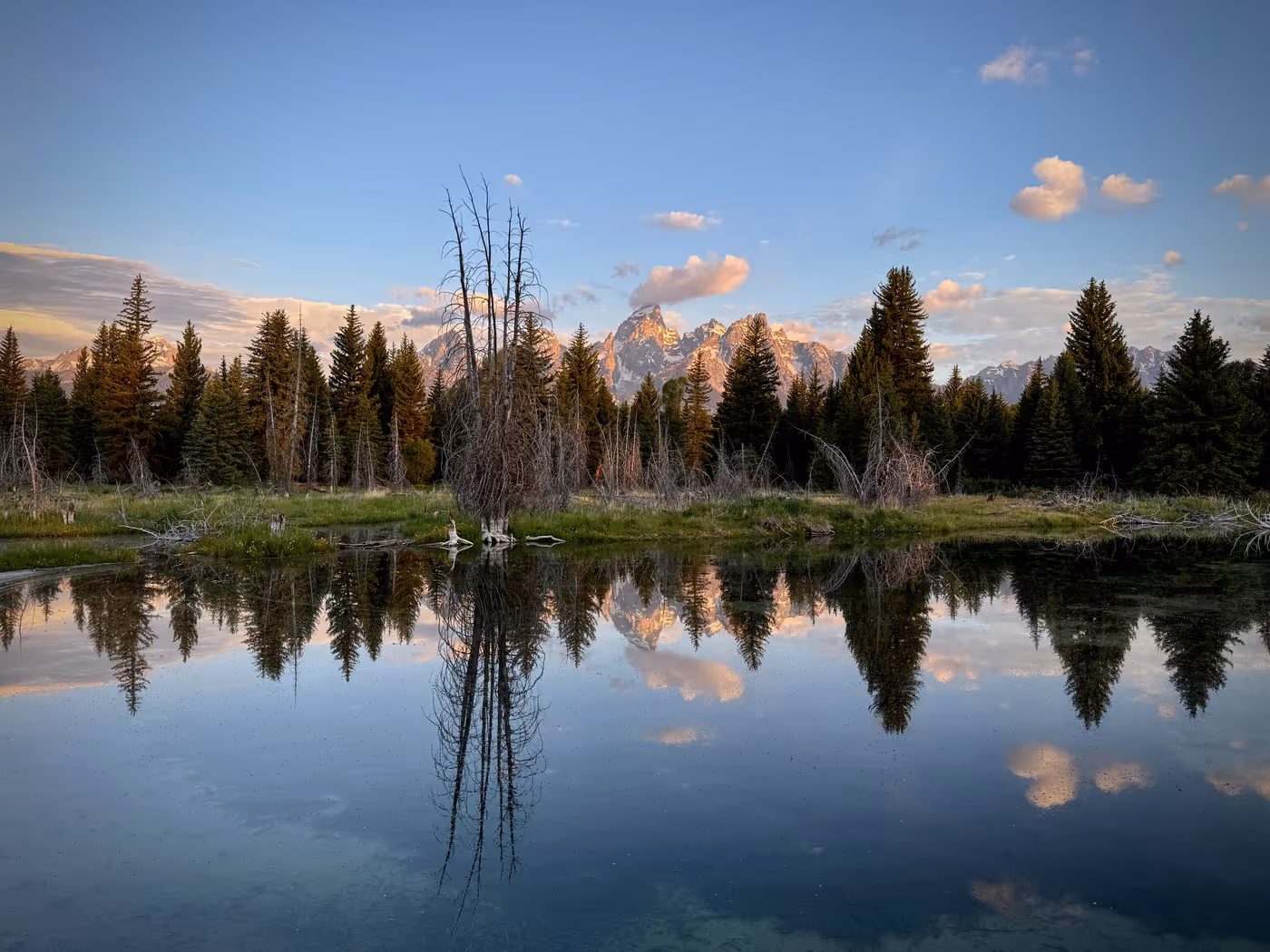 Mirror-still beaver pond at dawn reflecting bare snags, dark conifers, and pink alpenglow on the Teton peaks.